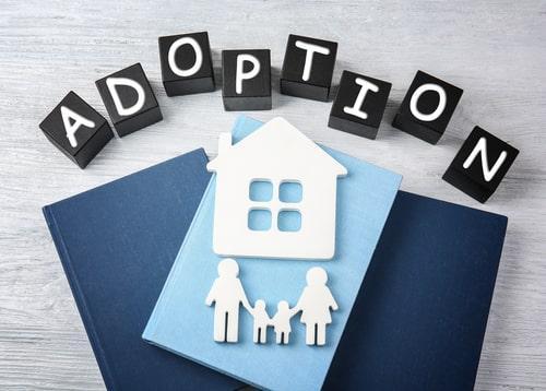 kendall county adoption lawyer